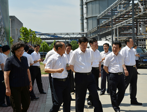 省委書記到金能01